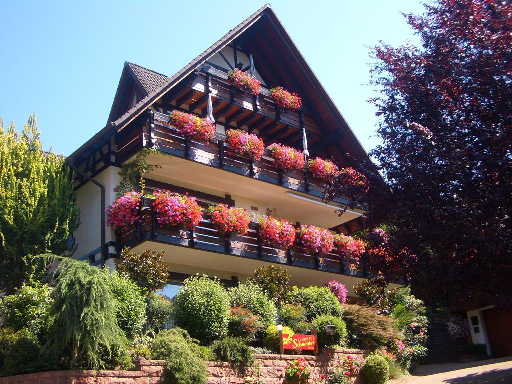 Landhaus Schneider Sasbachwalden Exteriér fotografie